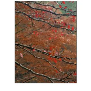 Blackgum in Autumn near Milwood Lake Arkansas