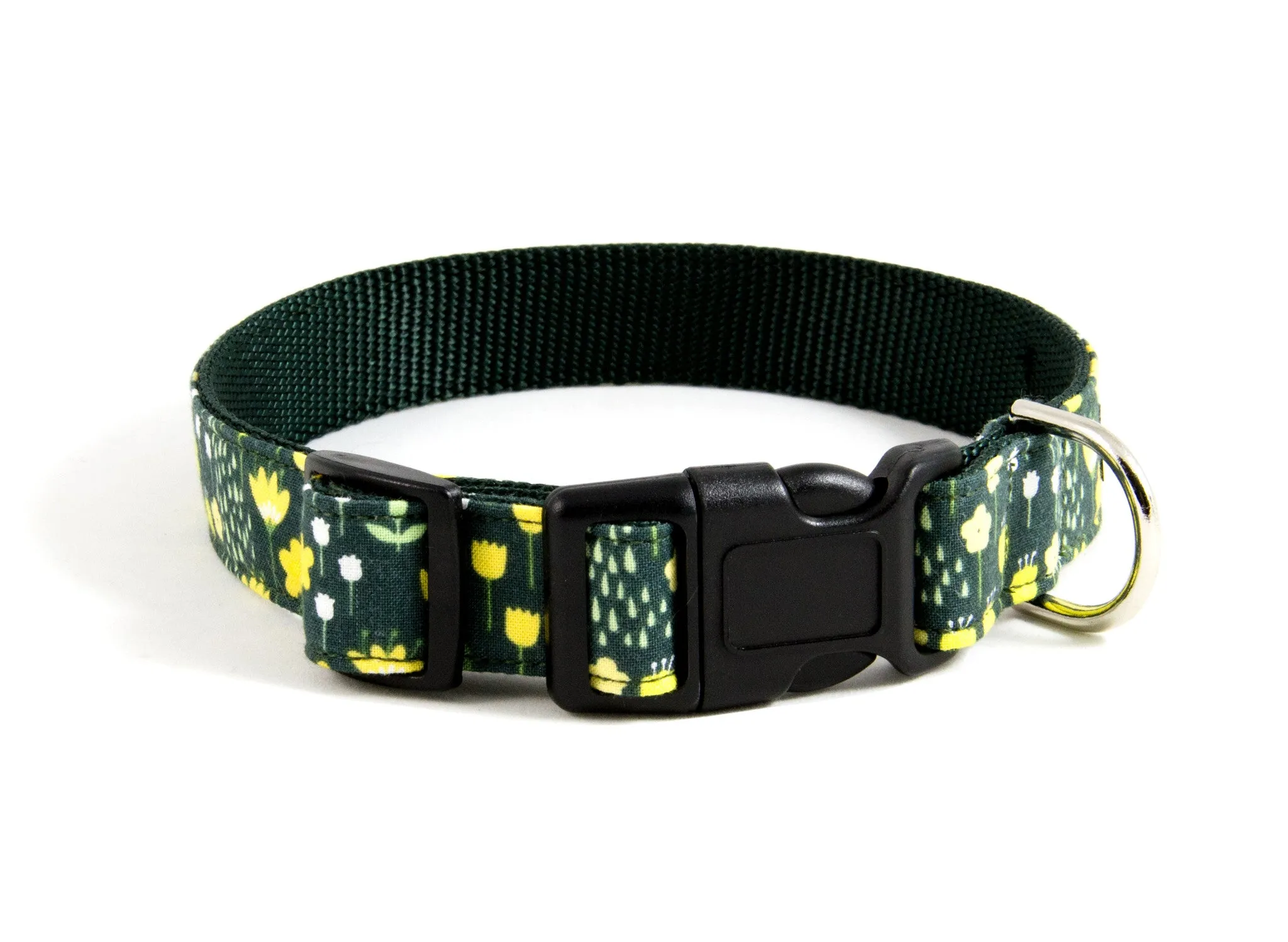 Buckle Dog Collar in Kate