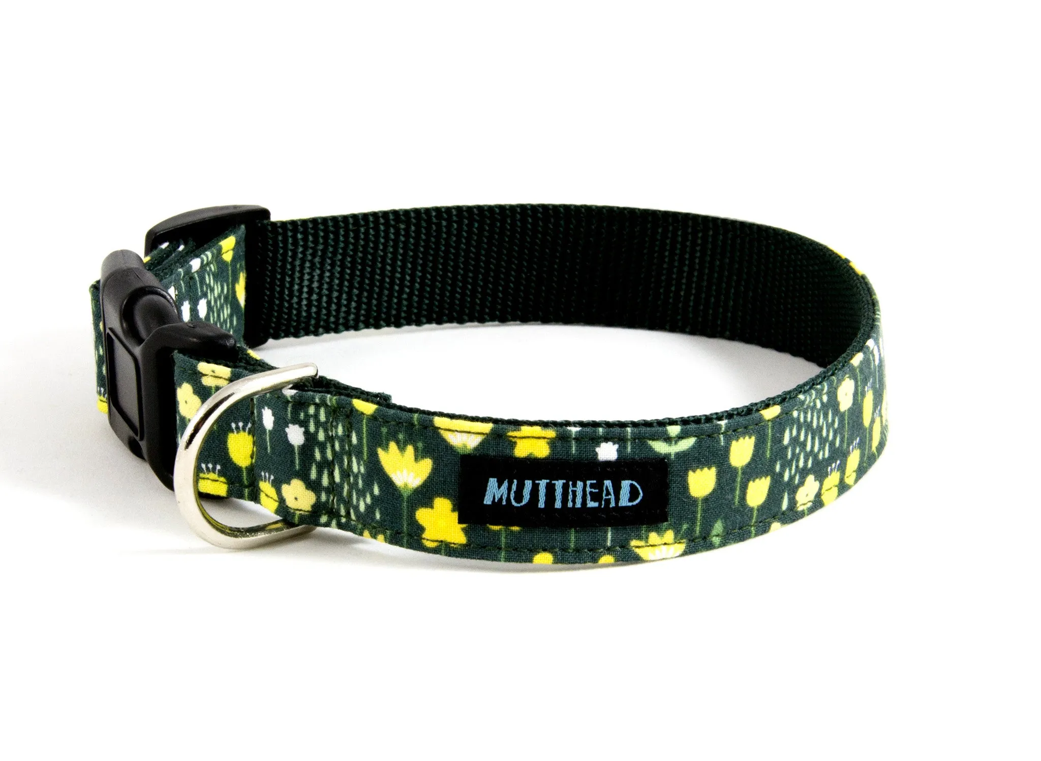 Buckle Dog Collar in Kate