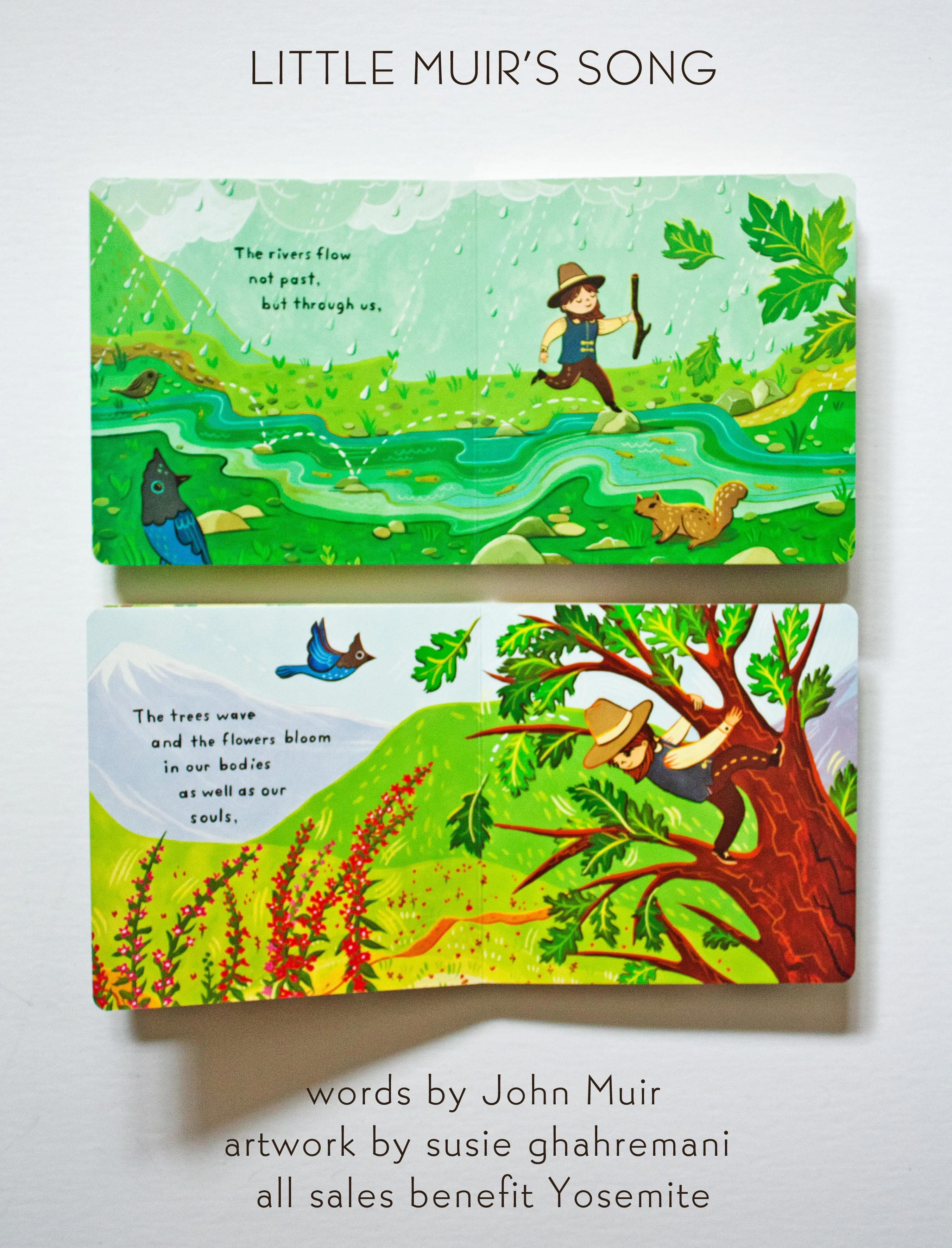 Little Muir's Song -- Children's Picture Board Book by John Muir, illustrated by Susie Ghahremani