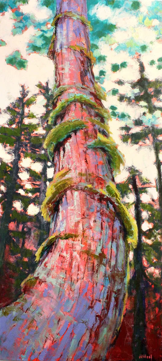 Out of the Forest, Into the Sky