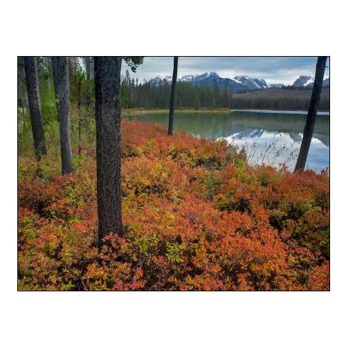 Sawtooth National Recreation Area-Idaho