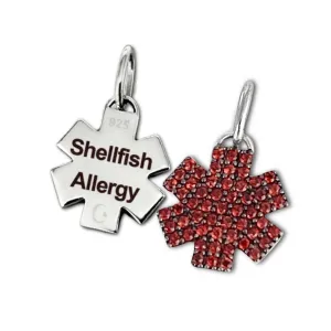 Seafood Allergy Medical ID Charms, Sterling Silver & Garnet