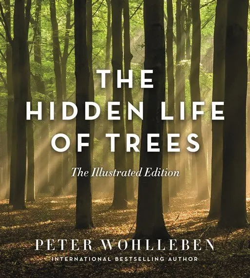 The Hidden Life of Trees (Illustrated Edition)