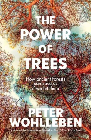 The Power of Trees