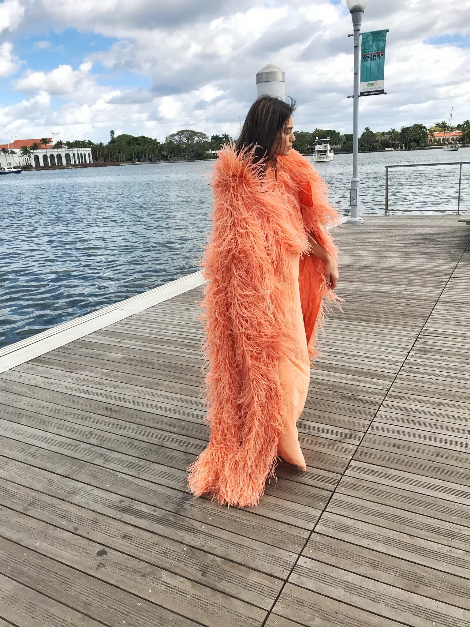 Tiziani 1960s by Karl Lagerfeld Peach Silk Plunge Dress & Feather Cape