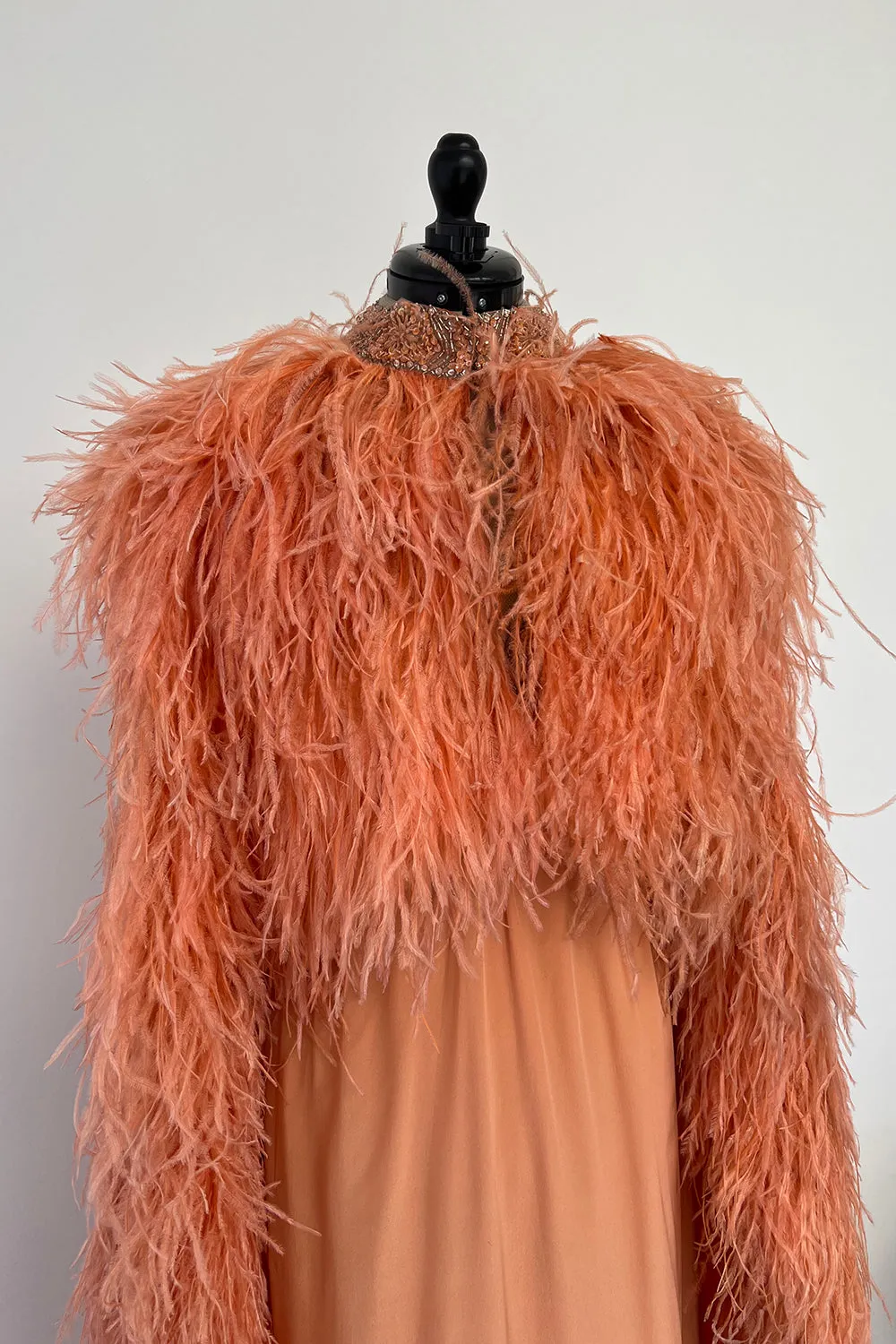 Tiziani 1960s by Karl Lagerfeld Peach Silk Plunge Dress & Feather Cape
