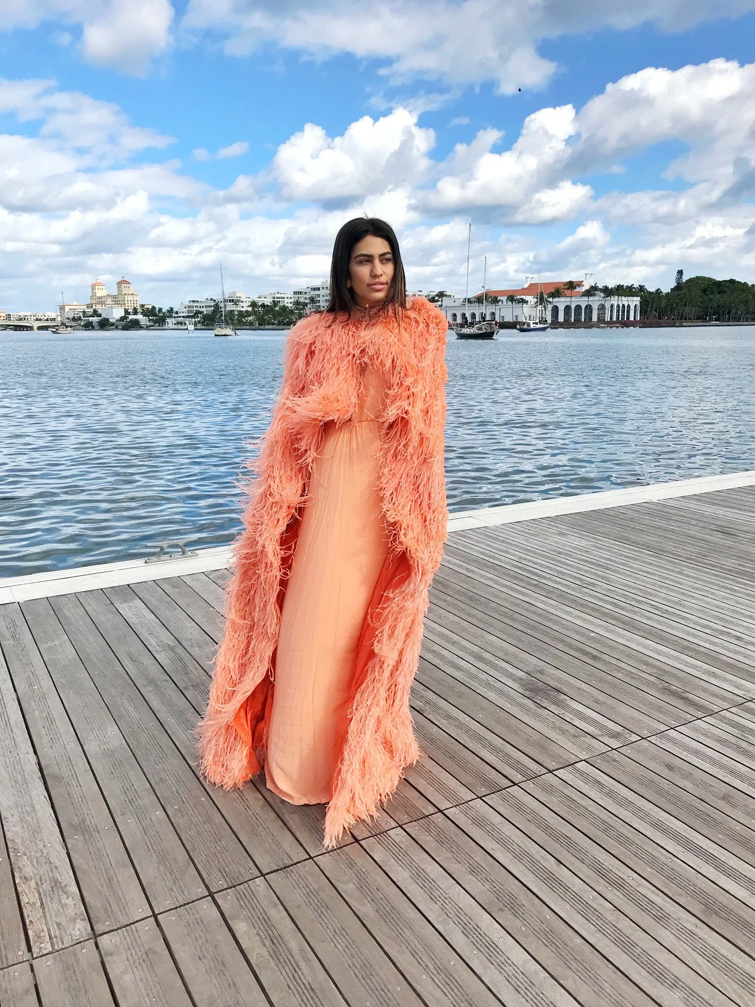 Tiziani 1960s by Karl Lagerfeld Peach Silk Plunge Dress & Feather Cape